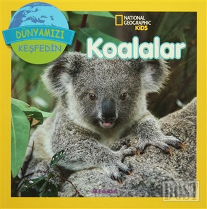 Koalalar - Dünyamızı Keşfedin